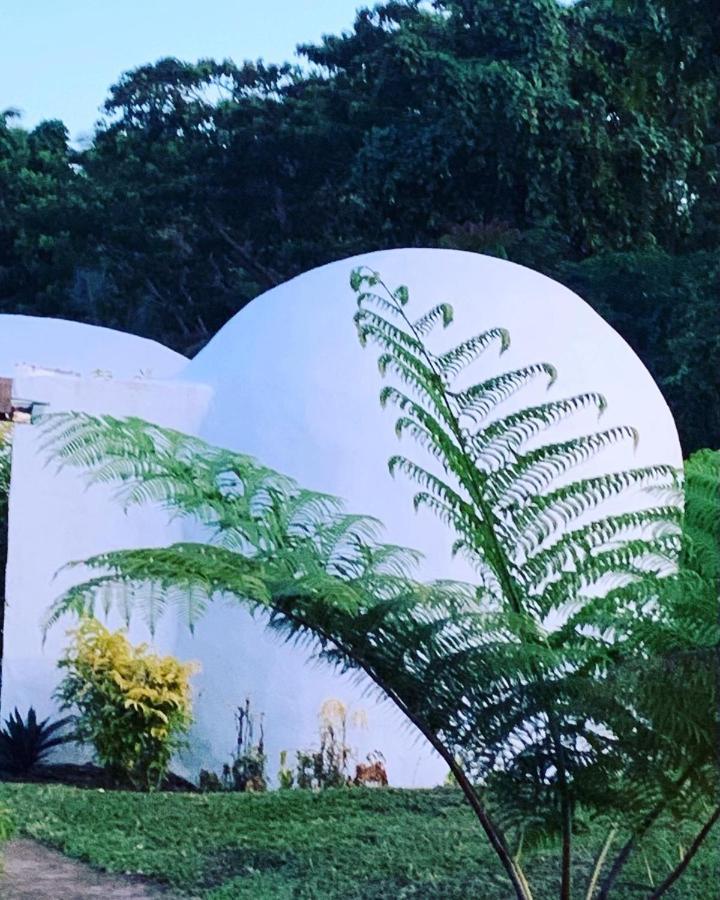 Camp Taveuni Hostel Matei Ngoại thất bức ảnh