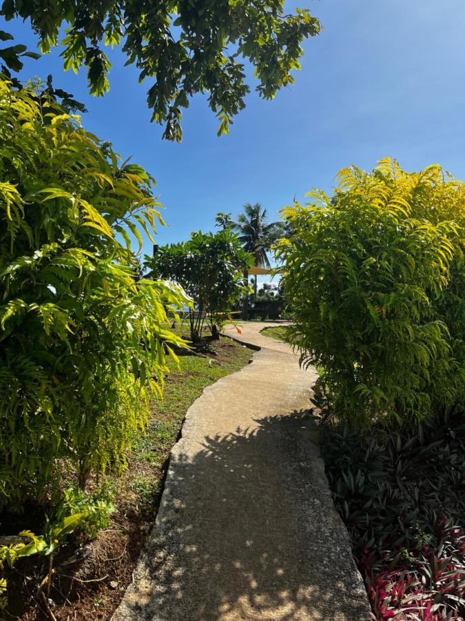 Camp Taveuni Hostel Matei Ngoại thất bức ảnh