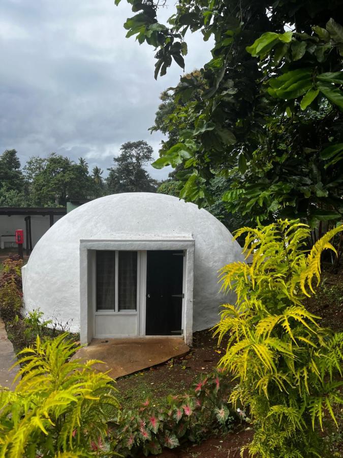 Camp Taveuni Hostel Matei Ngoại thất bức ảnh